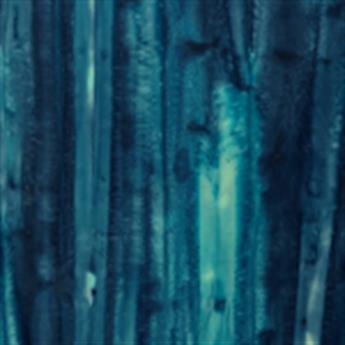 FG-BAT-0163- JLB0307