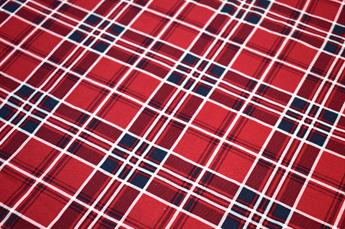 Tartan - image 4