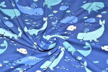 Whales - image 6