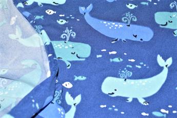 Whales - image 7