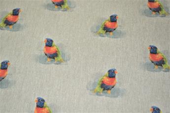 Bird - image 3