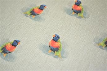 Bird - image 4