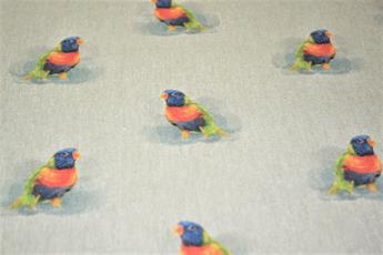 Bird - image 5