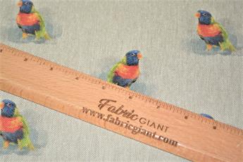 Bird - image 7