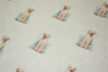 Golden Retriever - image 2