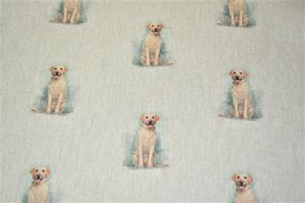 Golden Retriever - image 3