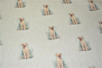 Golden Retriever - image 4