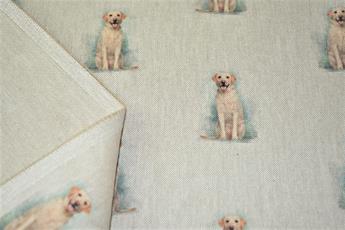 Golden Retriever - image 5
