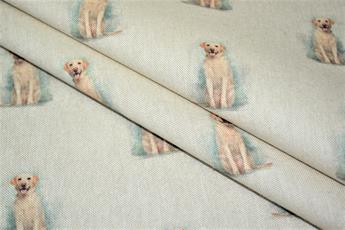 Golden Retriever - image 7