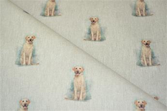 Golden Retriever - image 8
