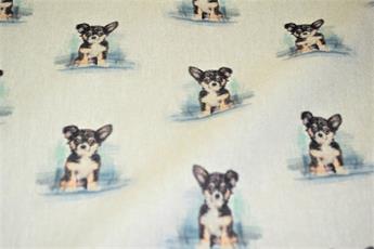 Chihuahua - image 2
