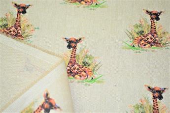 Baby Giraffe - image 10