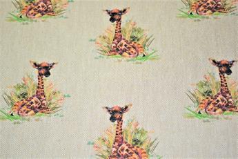 Baby Giraffe - image 4