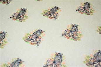 Baby Zebra - image 4