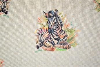 Baby Zebra - image 5