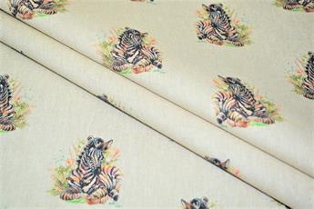 Baby Zebra - image 7