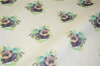 Bear Cub - image 2