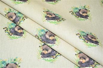 Bear Cub - image 5