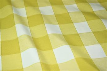 Gingham Canvas - image 11