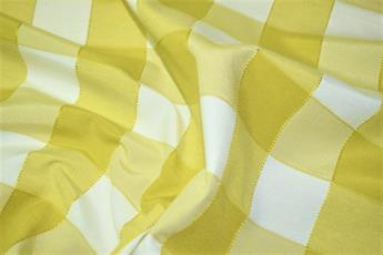 Gingham Canvas - image 12