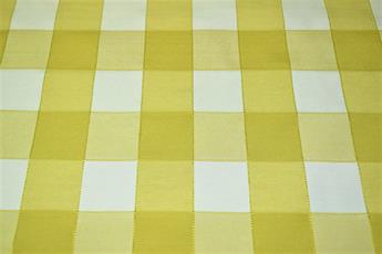 Gingham Canvas - image 3