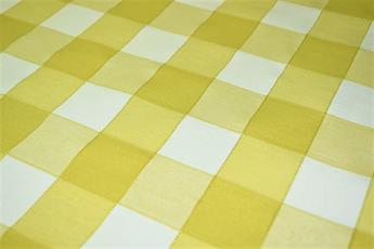 Gingham Canvas - image 4