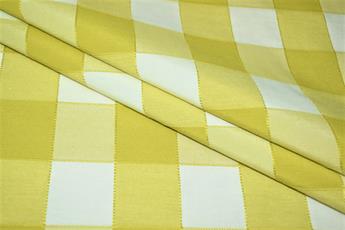 Gingham Canvas - image 6