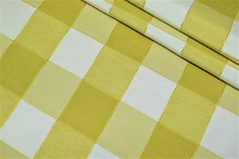 Gingham Canvas - image 9