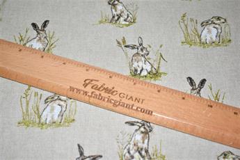 Rabbit - image 3