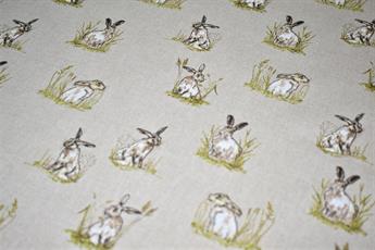 Rabbit - image 5