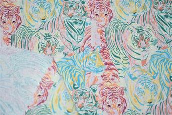 Rumble in the Jungle - image 5