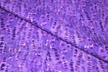 Printed 100% Cotton Fabric - image 1