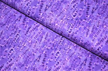 Printed 100% Cotton Fabric - image 5