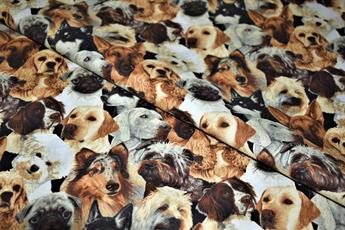 Printed 100% Cotton Fabric - image 1