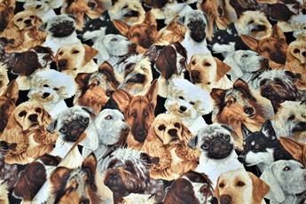 Printed 100% Cotton Fabric - image 2