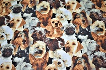 Printed 100% Cotton Fabric - image 3