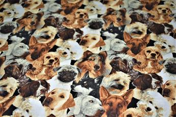 Printed 100% Cotton Fabric - image 5