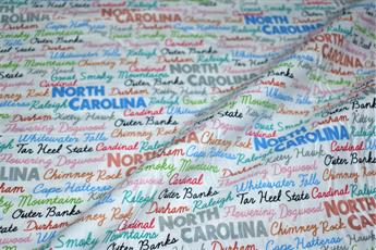 Printed 100% Cotton Fabric - image 2