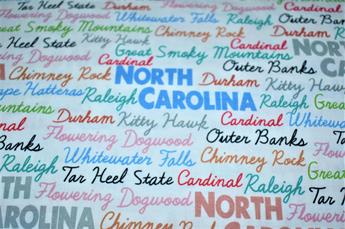 Printed 100% Cotton Fabric - image 4