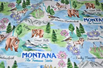 Printed 100% Cotton Fabric - image 2