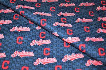 Printed 100% Cotton Fabric - image 1