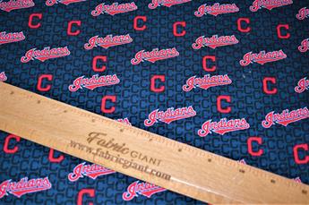 Printed 100% Cotton Fabric - image 3