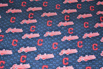 Printed 100% Cotton Fabric - image 4