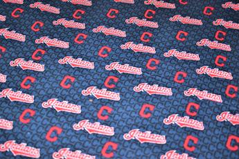 Printed 100% Cotton Fabric - image 5