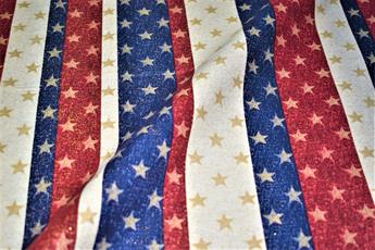Printed 100% Cotton Fabric - image 2