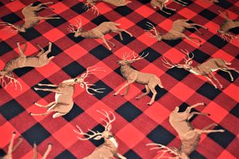Printed 100% Cotton Fabric - image 6