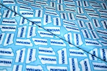 Printed 100% Cotton Fabric - image 1