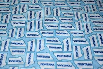 Printed 100% Cotton Fabric - image 4