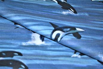Printed 100% Cotton Fabric - image 1