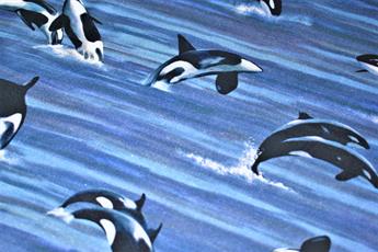 Printed 100% Cotton Fabric - image 4